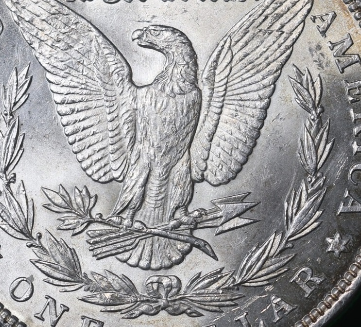 Latest-Purchase---1897-P-Morgan-Dollar
