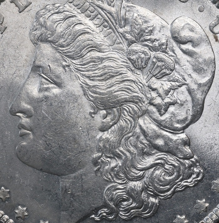 1879---P-Morgan-Dollar-Grade