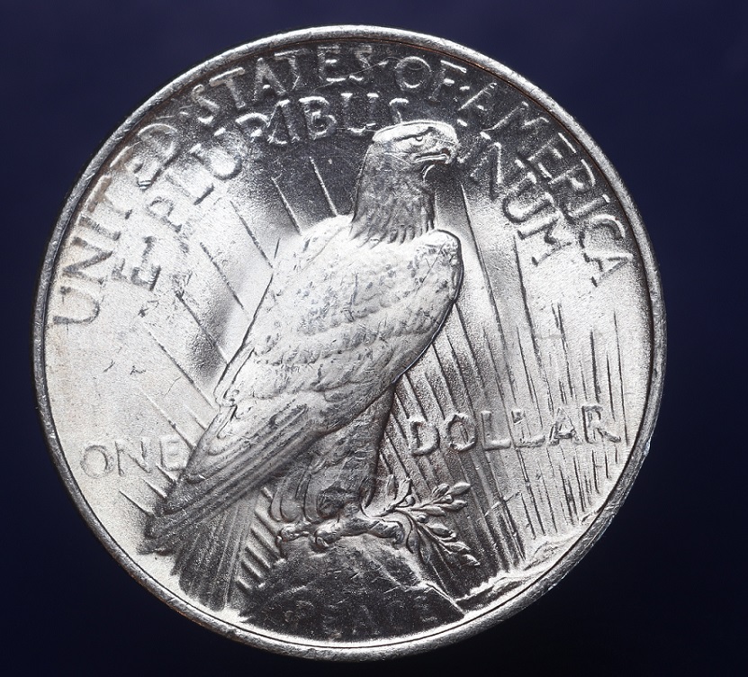 1923-Peace-Dollar-Grade