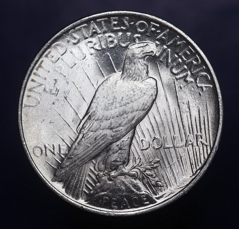 1923-Peace-Dollar-Grade