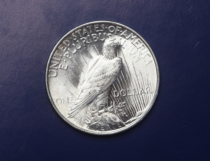 1923-Peace-Dollar-Grade