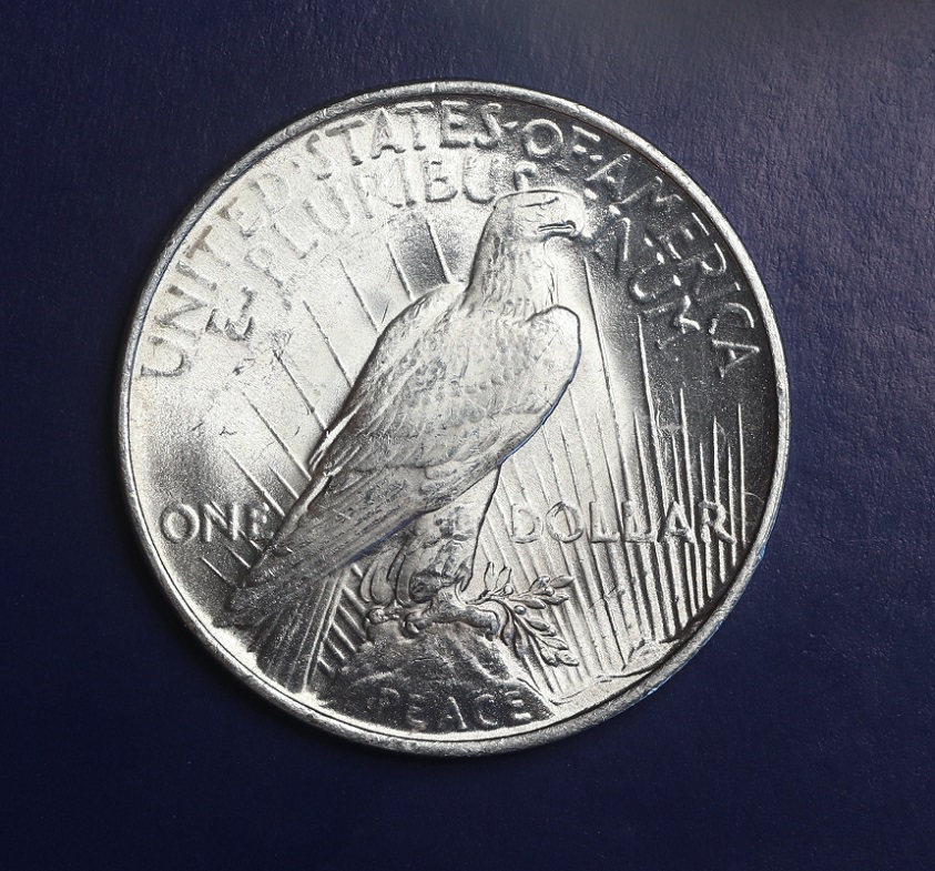 1923-Peace-Dollar-Grade