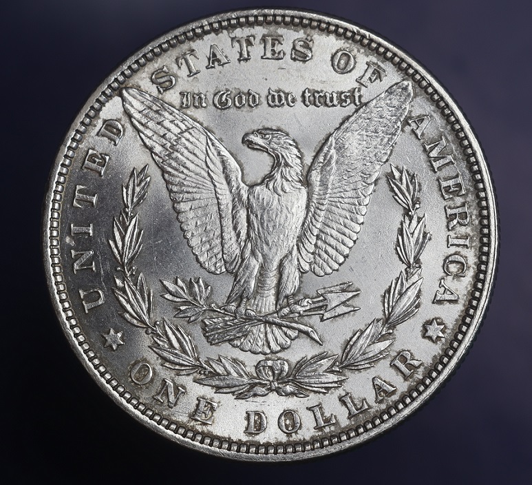 1879-P-Morgan-Dollar-Grade