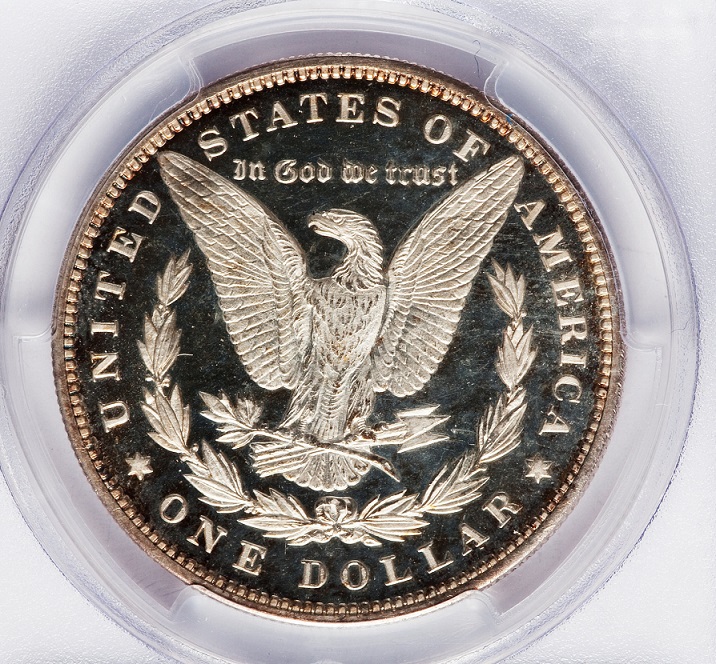 1895-Morgan-Dollar-You-Vs-PCGS-!