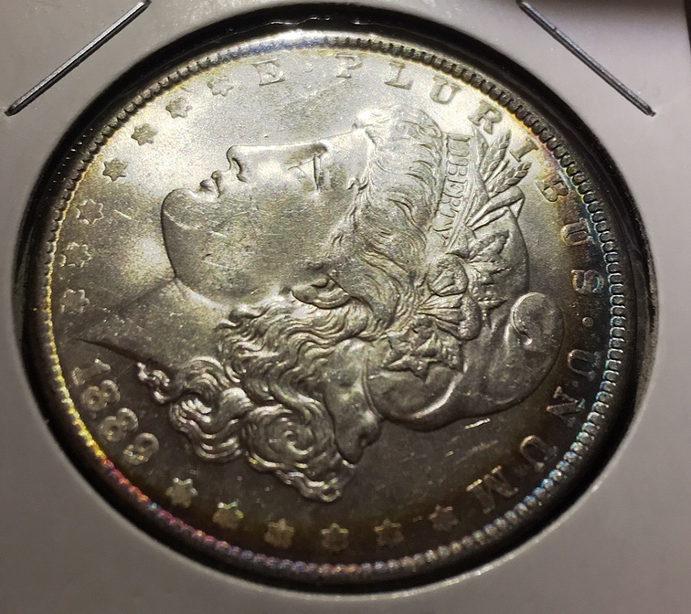 1889-Morgan-For-Grading...at-Or-Nt