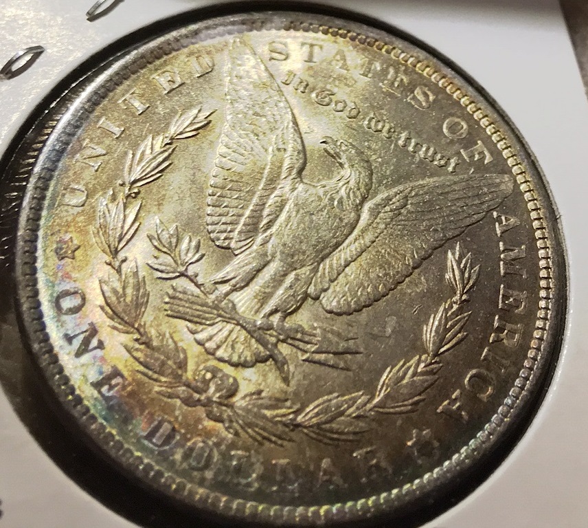 1889-Morgan-For-Grading...at-Or-Nt
