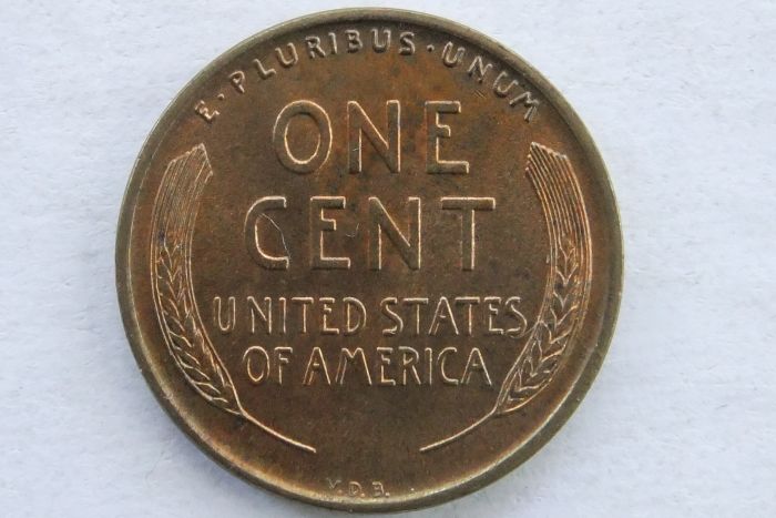 My-First-1909-VDB!!