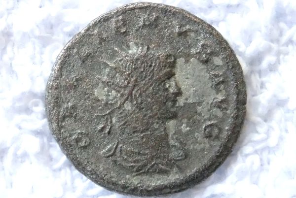 Please-Help-ID-Roman