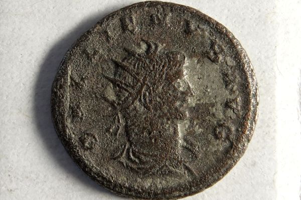 Please-Help-ID-Roman
