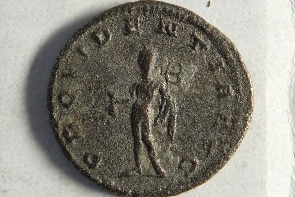 Please-Help-ID-Roman
