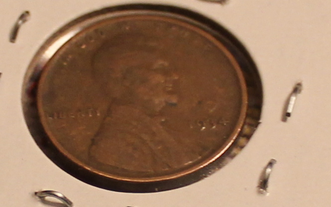 Cool-Finds-Roll-Hunting
