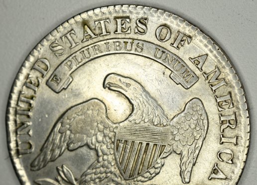 Is-This-1830-Capped-Bust-Half-Dollar-Large-Letters?-Doubled-Profile?