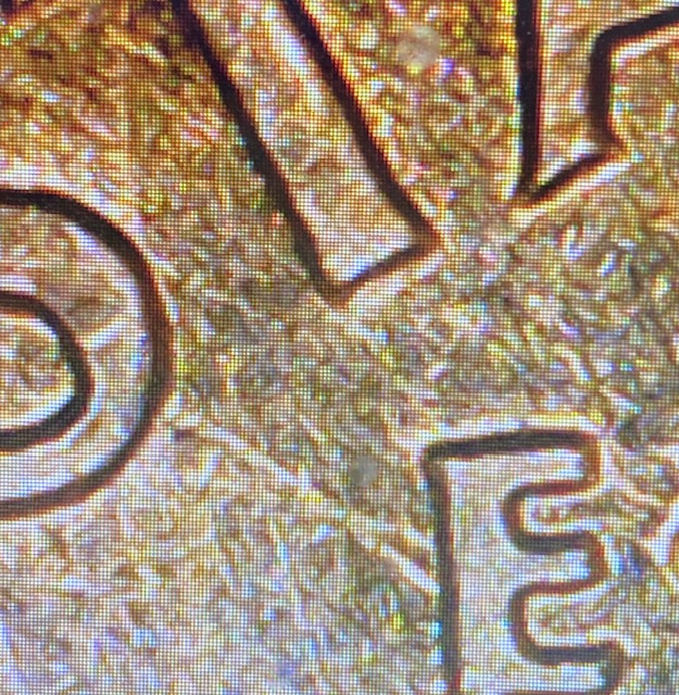 1961-D-RPM-FS-501?-If-You-Agree,-What-Grade-Would-You-Consider?