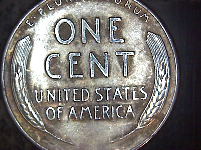 I-Really-Like-This-Coin,-LWC.