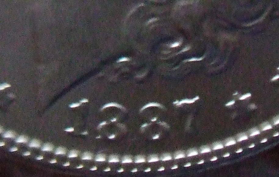 Questions-About-My-First-Morgan.