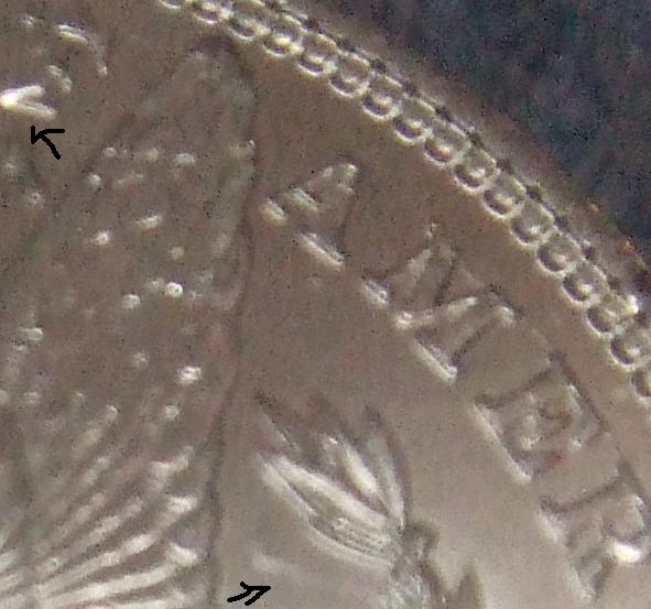 Questions-About-My-First-Morgan.