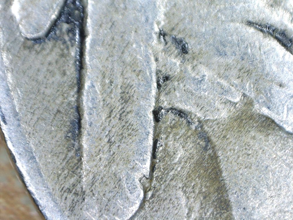 1929-S-Buffalo-Nickel-2-Feather-?