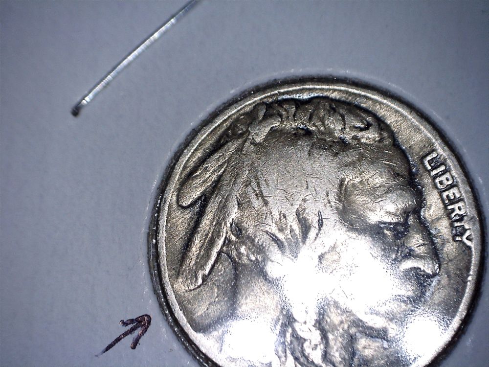 1929-S-Buffalo-Nickel-2-Feather-?
