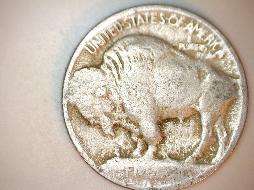 1913-Type-1-Buffalo-Nic