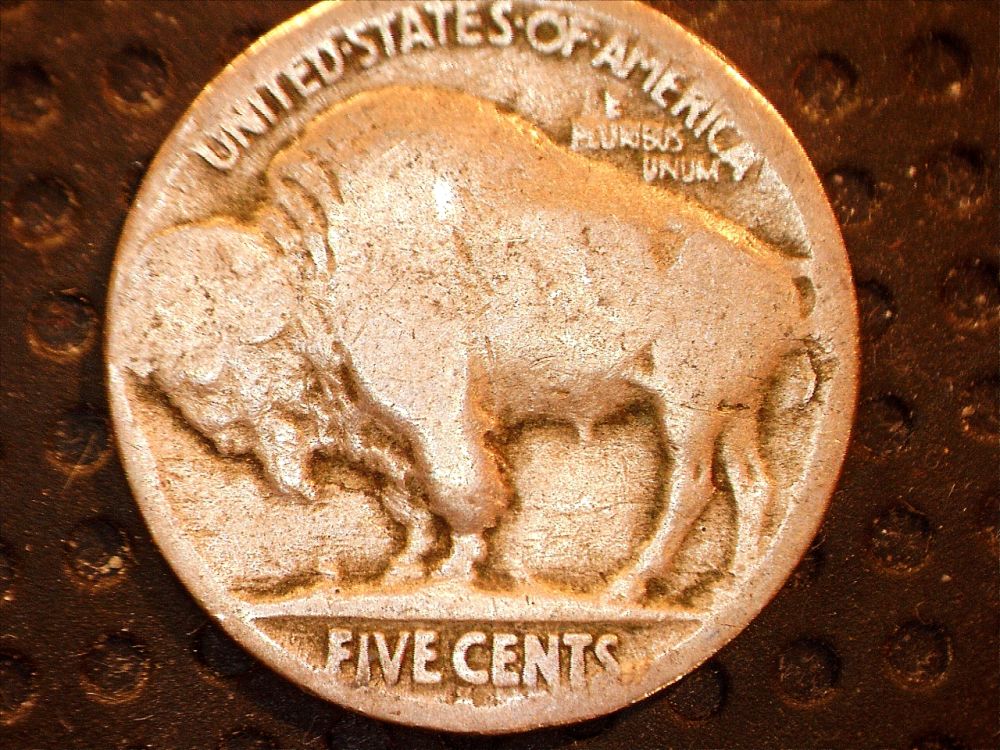 1921-S-Buffalo-Indentification-?