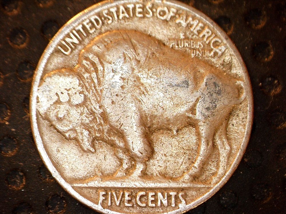Buffalo-Nickel-Sets-From-CRH-Events
