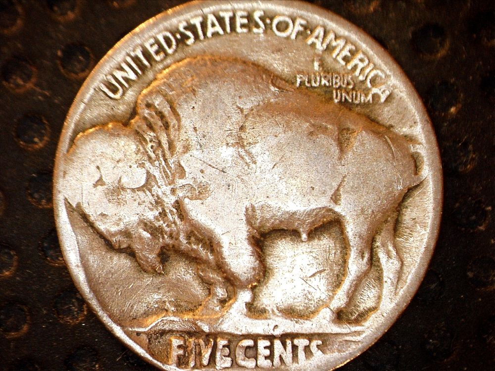 Buffalo-Nickel-Sets-From-CRH-Events