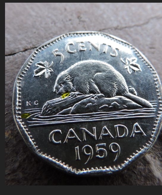 1959-Nickle-What-The-Heck-Is-This?