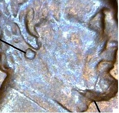 Double-Ear-/-Early-Double-Die-?