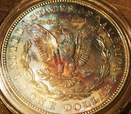 Any-Experts-On-Toned-Morgans?