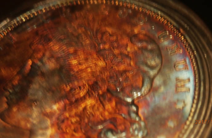Any-Experts-On-Toned-Morgans?