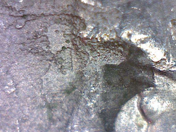 05-Minn-Planchet-Error?