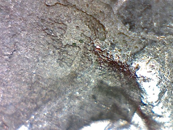 05-Minn-Planchet-Error?