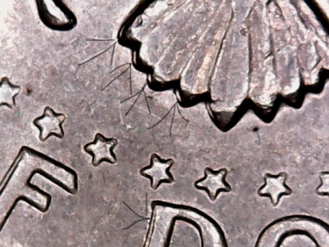 1972-S-Cent-Date-Is-Doubled-Died?-And-1971-D-Kennedy-Half