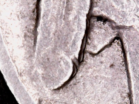 1937-D-Indian-Head-Nickel-MD-Obverse?