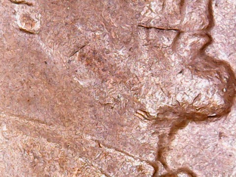 Updated1944-S-Penny,-Is-That-A-Second-Mouth-On-Lincoln?