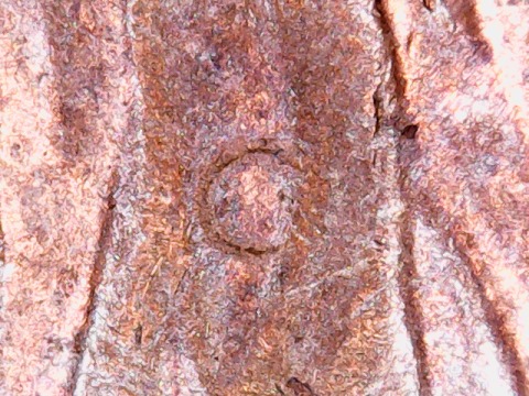 Interesting-PMD-On-This-1970-S-Penny.