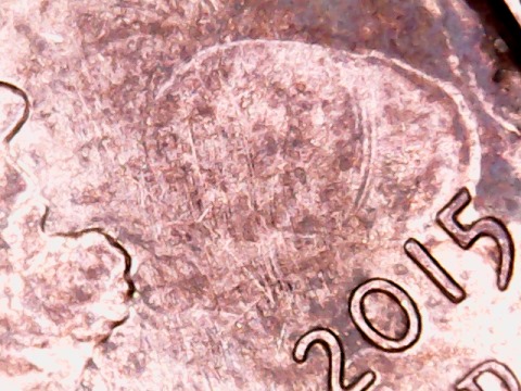 2015-D-Penny-Odd-Looking-Anomaly