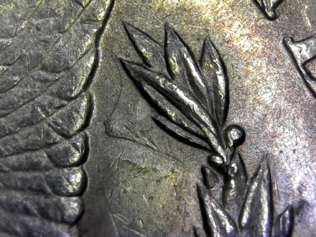 1884-O-Morgan-Need-Help-Identifying-Anomaly