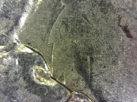 1884-O-Morgan-Need-Help-Identifying-Anomaly