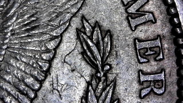 1884-O-Morgan-Need-Help-Identifying-Anomaly