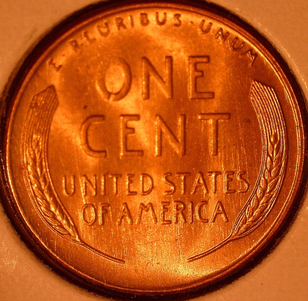 Post-Your-Red-Copper-Found-In-The-Wild