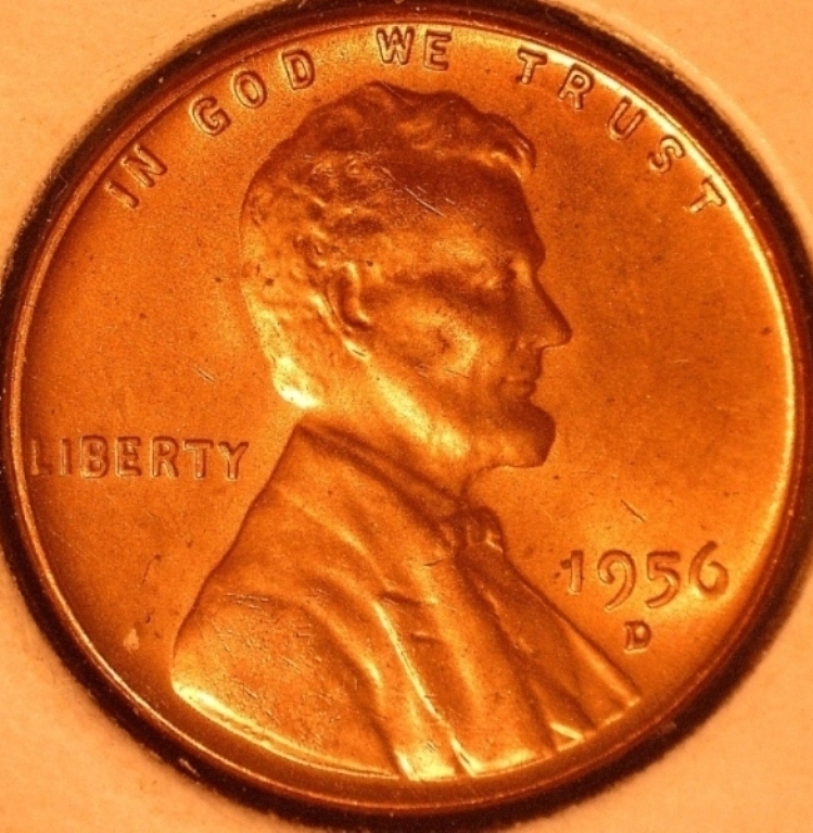 Post-Your-Red-Copper-Found-In-The-Wild