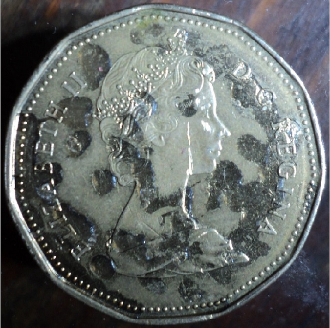 1989-Loonie