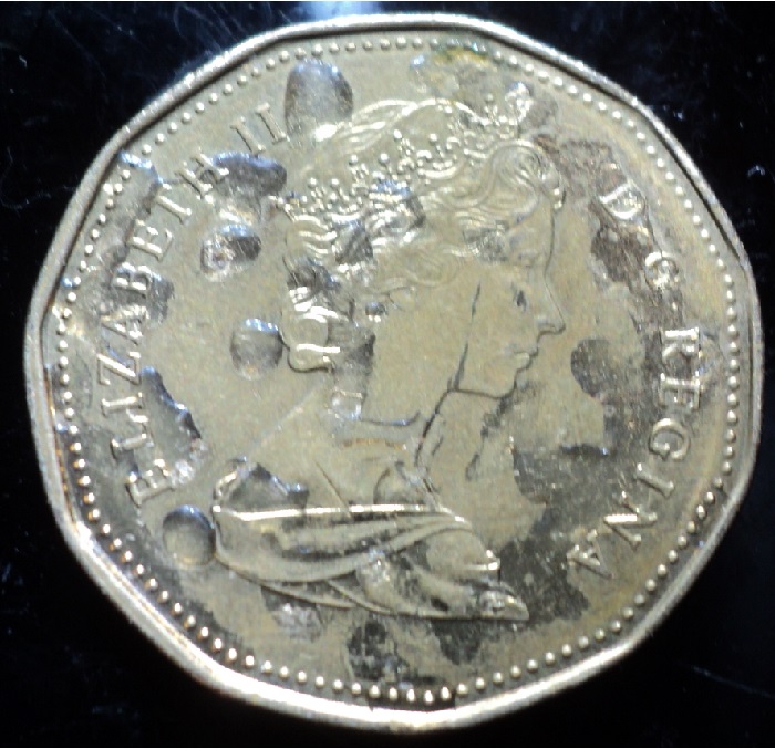1989-Loonie