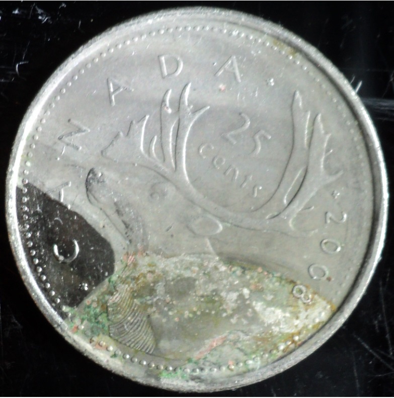 2008-$0.25-Damage