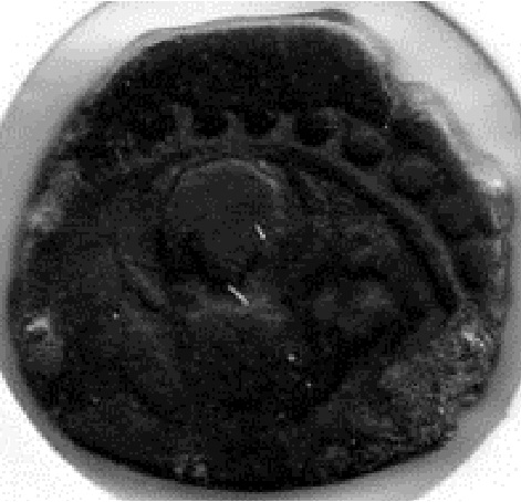 17.4mm-Ae,-Constantine-I?-Need-Identification-Help-Please.