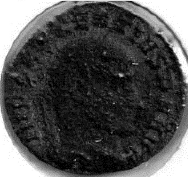 Unknown-Roman-Coin