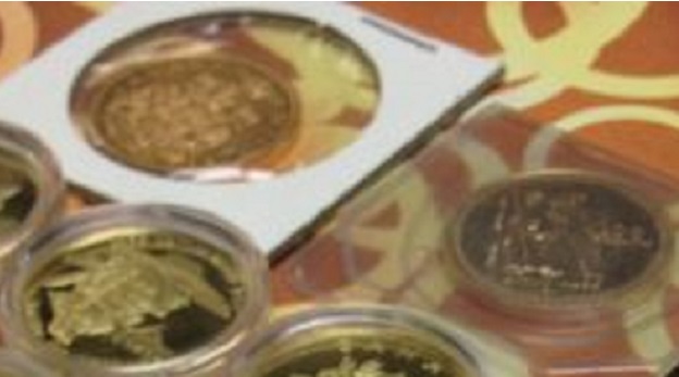 Gold-Coin-Collection-Help