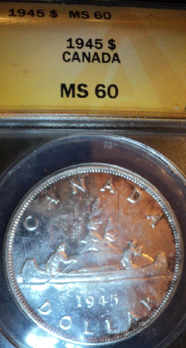 The-31-Days-Of-Canadian-Silver-Dollars