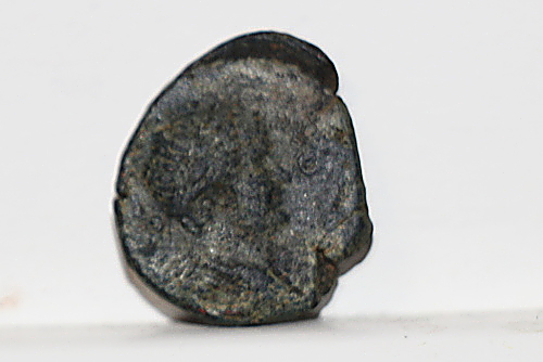 Help-Identifying-Ancients-Follows-